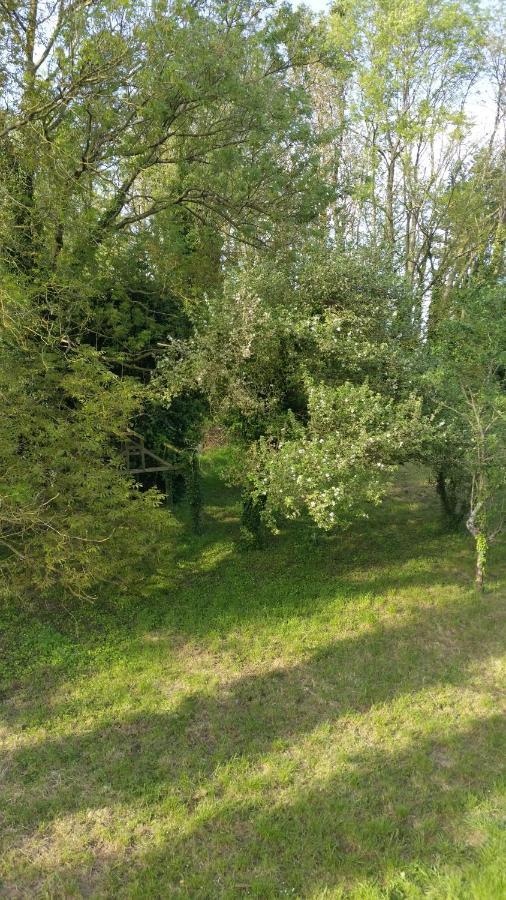 Aux Nobles Acacias Lägenhet Épagne-Épagnette Exteriör bild